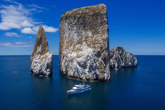 8-Day Galapagos Island Hopping Superior: Kicker Rock, Los Tuneles, Local Flight - Health and Safety Guidelines