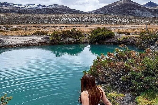 8-Hours Tour in Arequipa Laguna De Salinas With Pick-Up - Traveler Feedback and Reviews