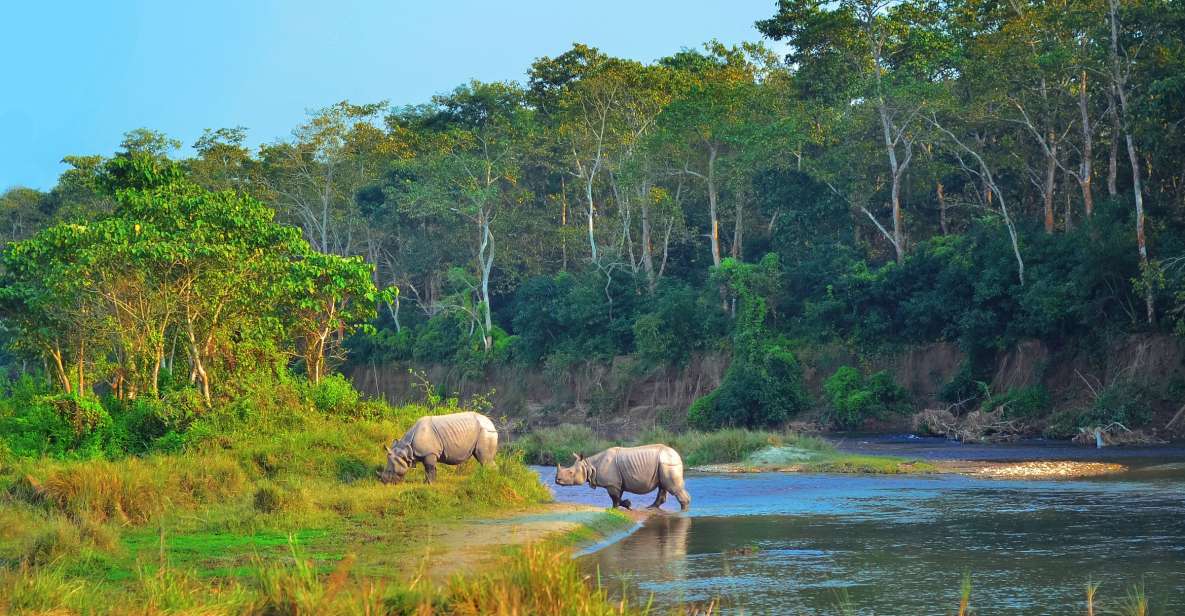 9 Days Kathmandu, Pokhara, Chitwan, Lumbini & Janakpur Tour - Encounter Wildlife in Chitwan