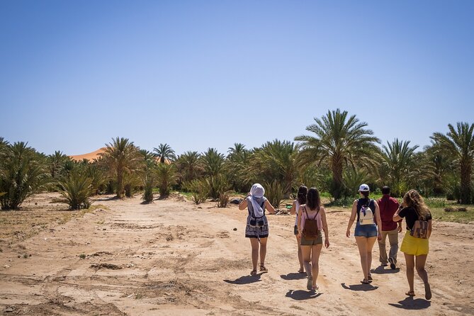 A Lovely Night Desert Camp & Camel Trekking (3 Days / 2 Nights ) - Desert Camp Experience