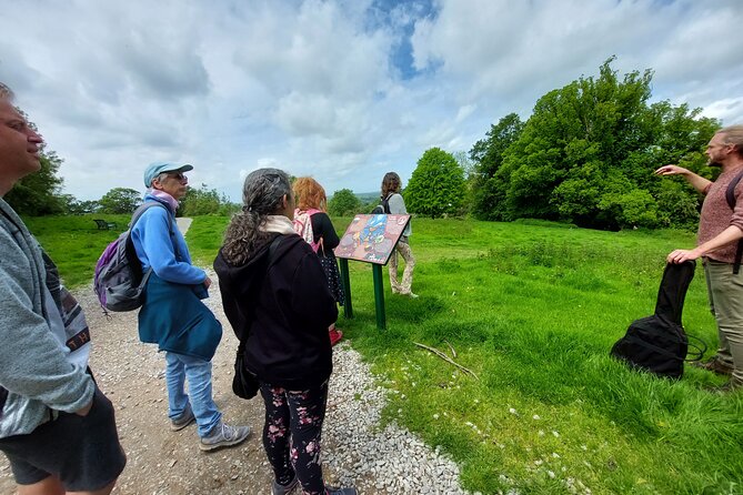 A Tour of Glastonbury, Guided by the Trees. - Pricing and Booking Information