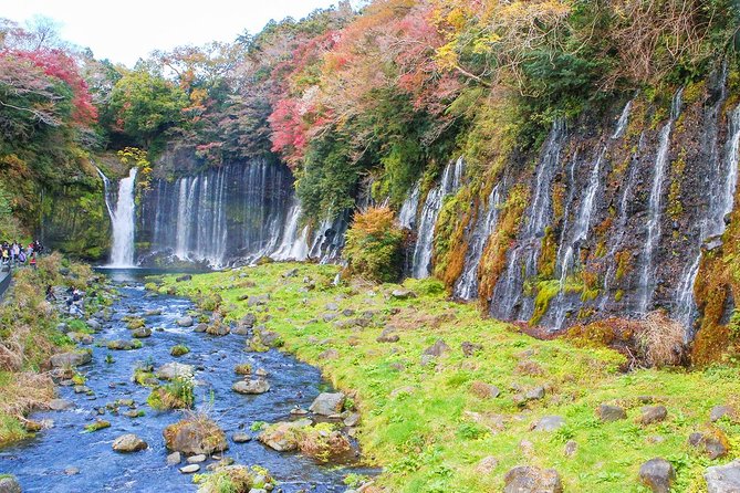 A Trip to Enjoy Subsoil Water and Nature Behind Mt. Fuji - Local Cultural Experiences