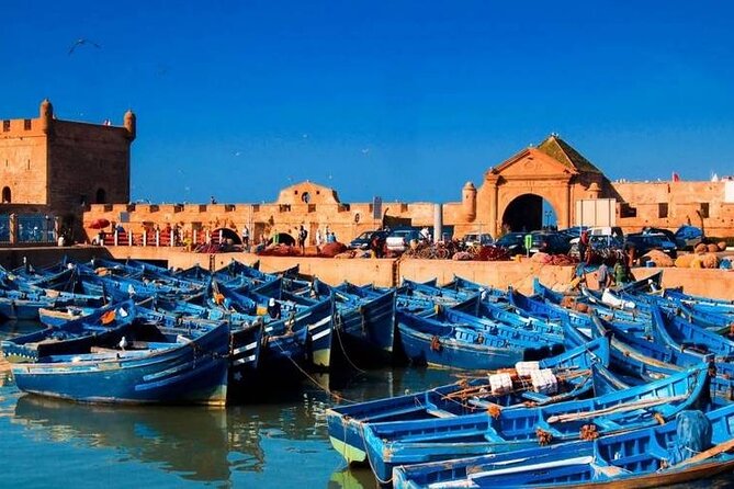 A Wonderful Day in Essaouira From Marrakech - Exploring Medina of Essaouira