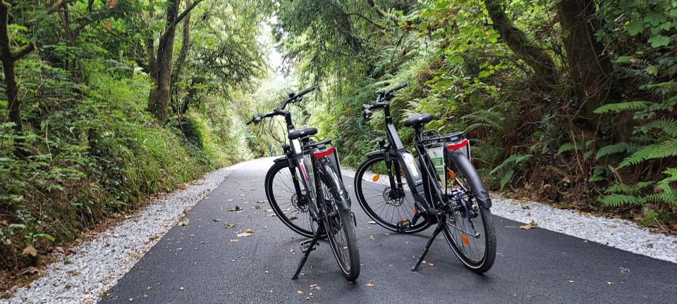 Abbeyfeale: Limerick Greenway Adult Bicycle Rental - Activity Duration and Scheduling