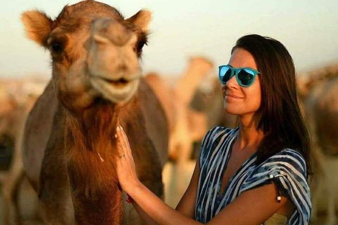 Abu Dhabi Desert Safari 4x4, BBQ Dinner, Camel Ride - Booking Information