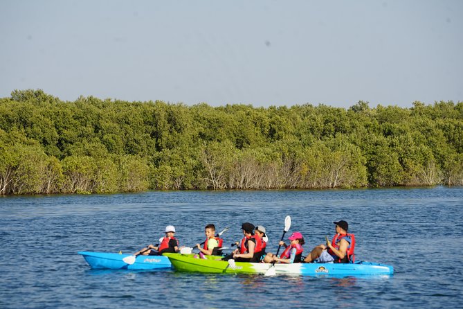 Abu Dhabi Eastern Mangrove Lagoon National Park Kayaking - Guided Tour - Health and Safety Guidelines