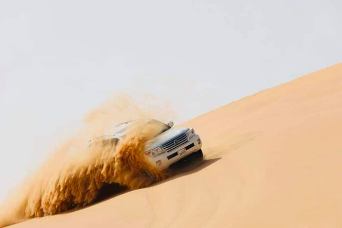 Abu Dhabi: Evening Desert Safari With Camel Ride, BBQ & Live Show - Additional Information