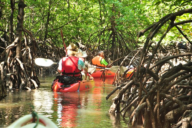 Abu Dhabi Mangrove Kayaking Tour - Price and Booking Information