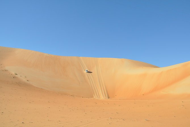 Abu Dhabi Small-Group Full-Day Desert Safari - Pricing Details