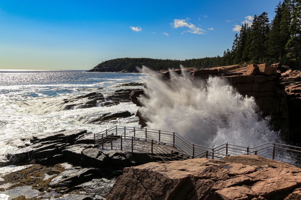 Acadia National Park Self-Guided Driving Tour - Booking Details and Options