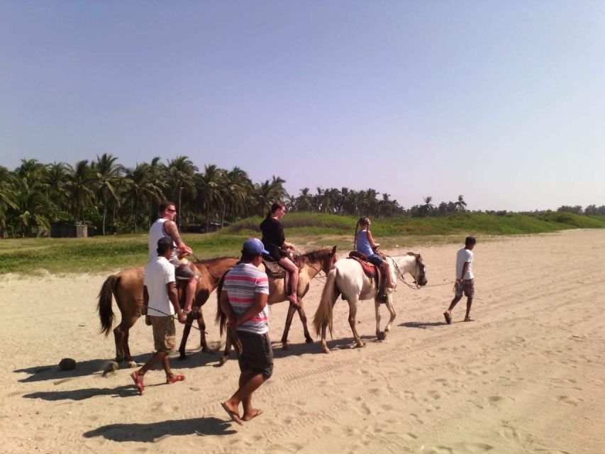 Acapulco: Gentle Beach Horse Riding Tour on Barra Vieja - Last Words