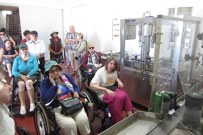 Accessible Valencia: Private, Accessible Wine Tour With Lunch - Inclusions