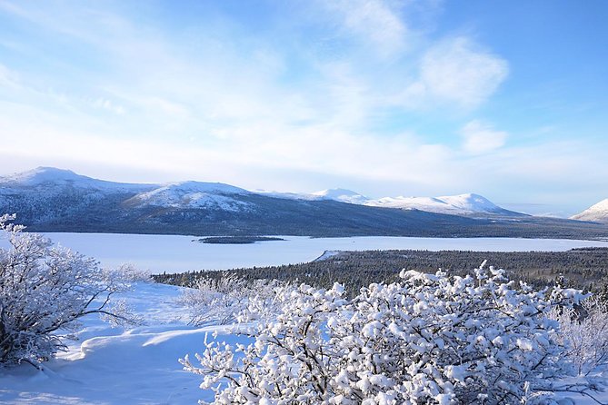 Active Winter Adventure in Yukon 5 Days - Cancellation Policy and Refunds
