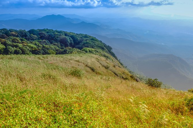 Admiring Natural Heights at Doi Inthanon - Customer Feedback