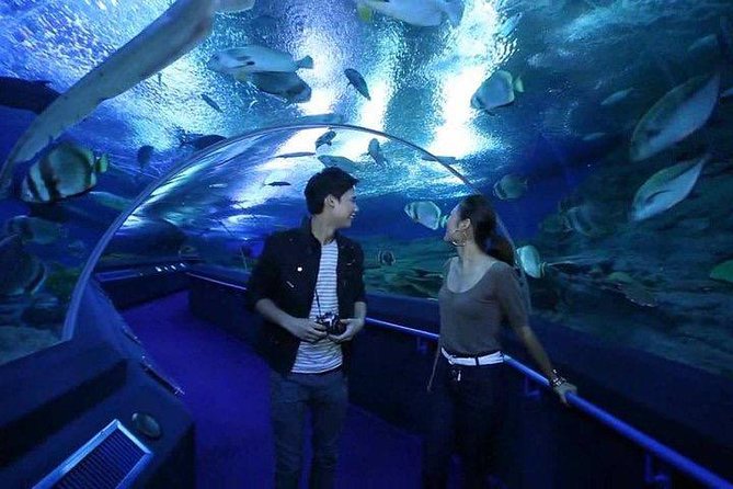 Admission Ticket to Underwater World Pattaya With Return Transfer - Cancellation Policy