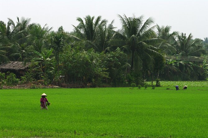 Adventure Cu Chi Tunnels and Mekong Delta Limousine Tour From HCM - Traveler Engagement