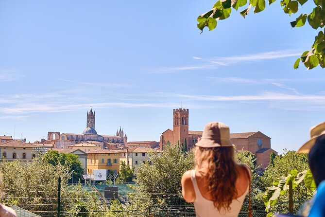 Afternoon in Siena and Chianti Wine Tour With Dinner From Florence - Overall Tour Impressions