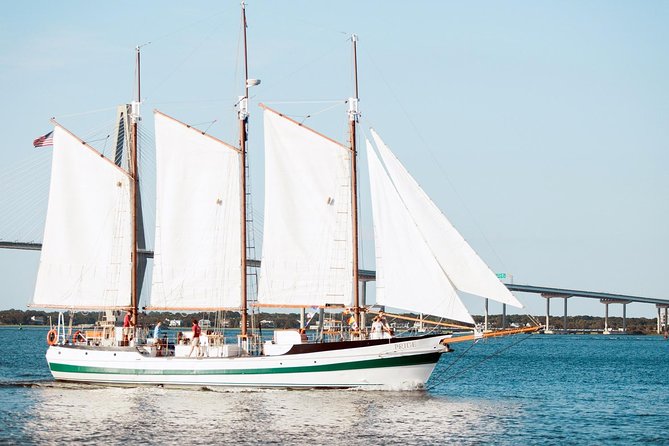 Afternoon Schooner Sightseeing Dolphin Cruise on Charleston Harbor - Top Sights Along the Cruise