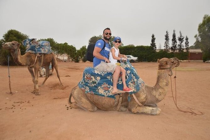 Agadir Camel Ride Experience - Contact and Assistance