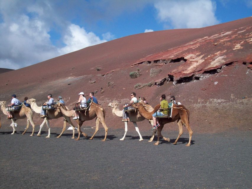 Agadir Camel Ride Flamingo River & BBQ Dinner - Additional Information