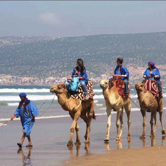 Agadir Camel Ride Flamingo River & Couscous With BBQ Dinner - Reviews and Additional Information