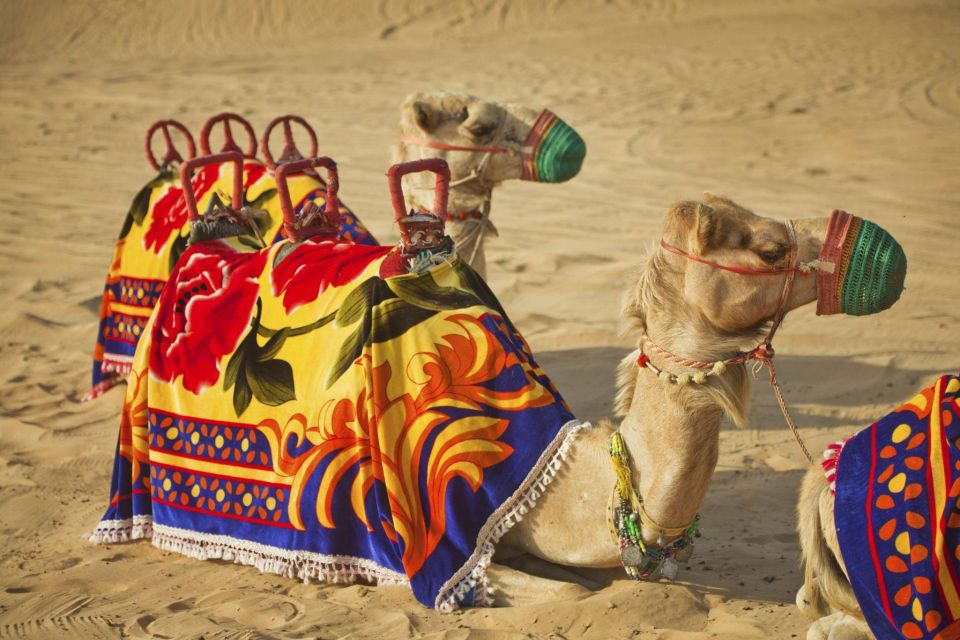 Agadir: Camel Ride With Tea & BBQ Dinner Option - Booking Information