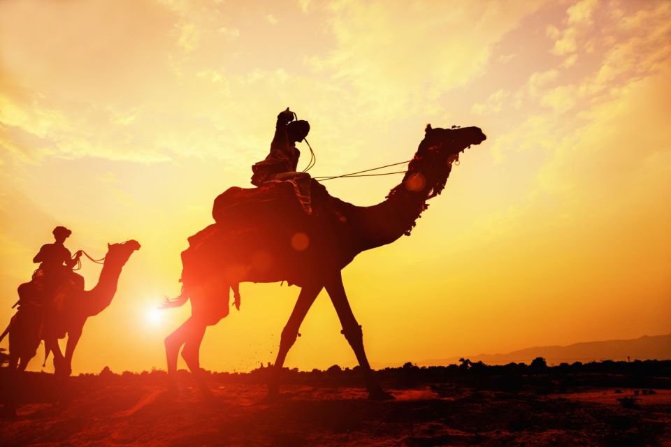 Agadir: Camel Ride With Tea & BBQ Dinner Option - Inclusions
