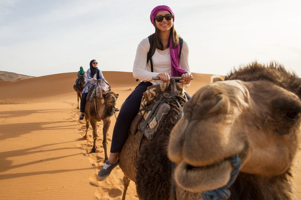 Agadir: Camel Riding Adventure With Authentic Moroccan Lunch - Logistics