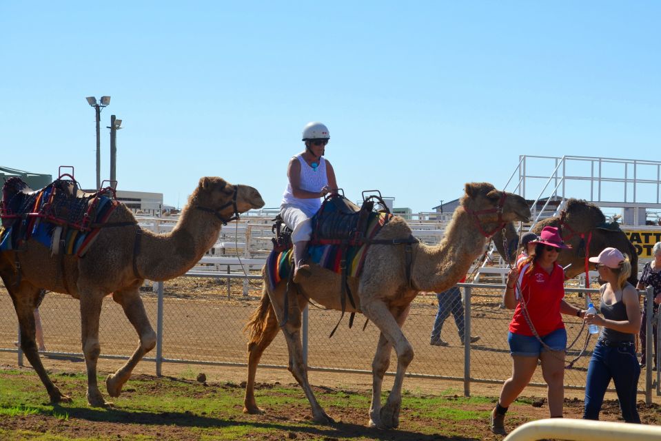 Agadir: Camel Riding Adventure With Authentic Moroccan Lunch - Guided Tour and Transportation
