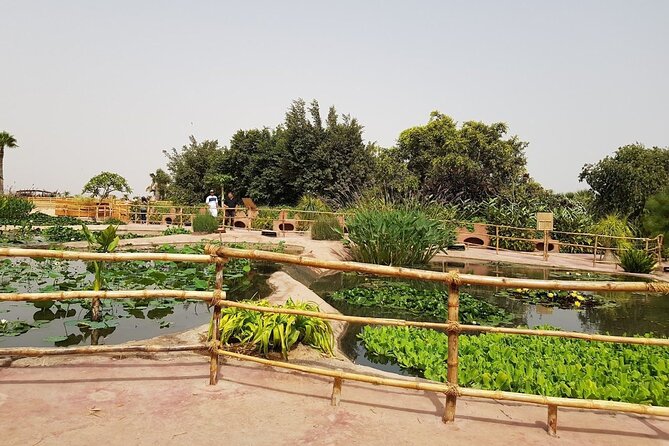 Agadir Crocodile Park Adventure - Reviews and Recommendations
