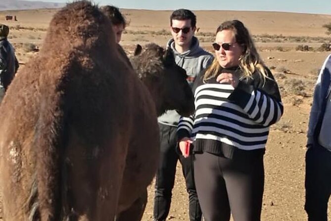 Agadir Desert ATV & Camel Ride Excursion - Accessibility and Traveler Requirements