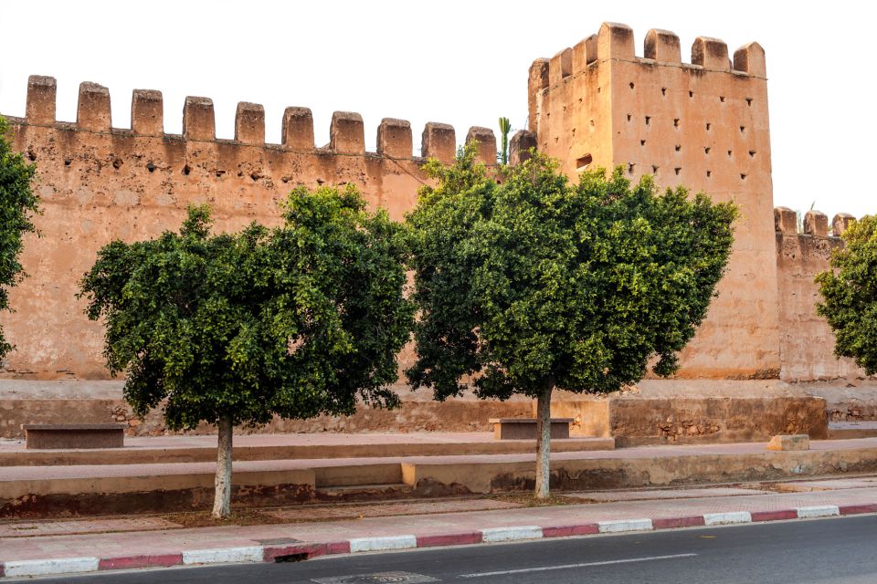 Agadir Excursion to Taroudant Oissis Tiout With Lunch - Full Description