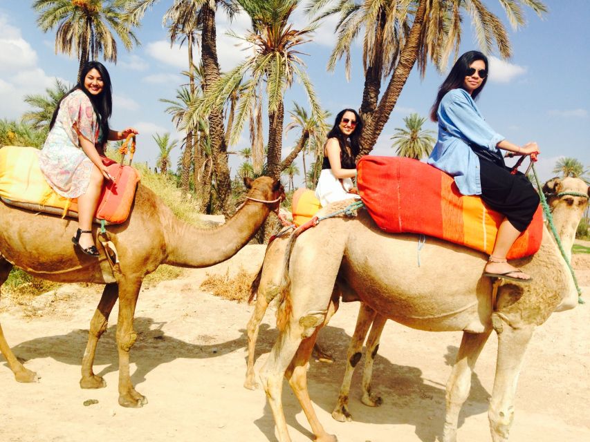 Agadir: Flamingo River Sunset Camel Ride With BBQ Diner - Key Points