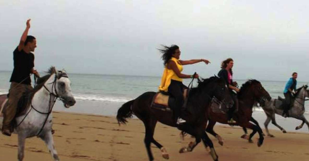 Agadir Horse & Quad Bike Tour With Transfer - Location & Tour Details