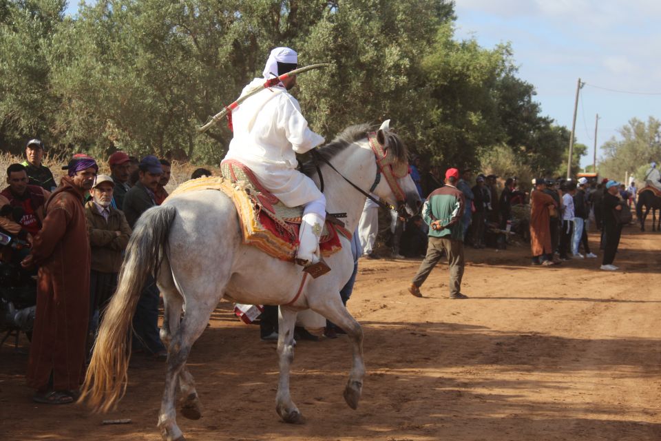 Agadir: Horse Ride Experience With Flamingos Watching - Delightful Flamingo Watching Opportunity