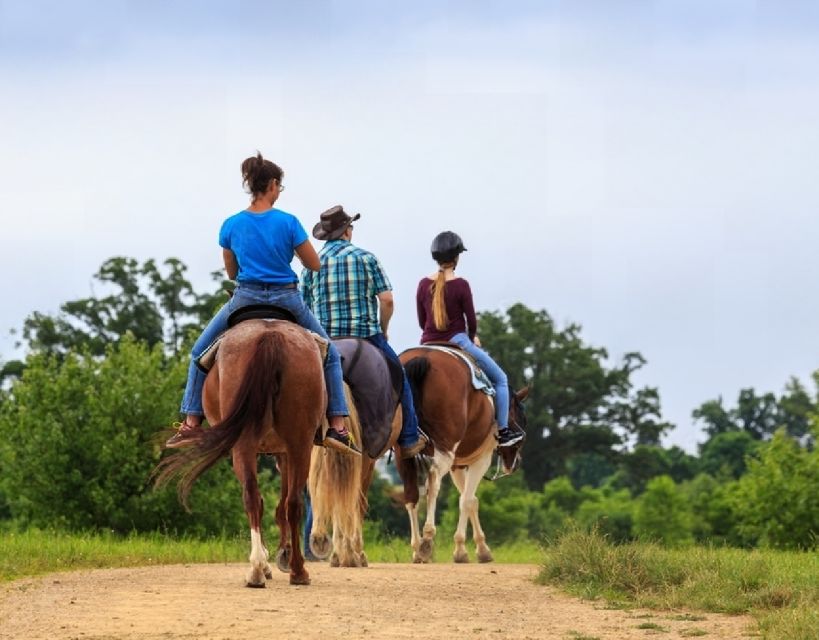 Agadir: Horse Ride in Flamingo Souss River - Full Description