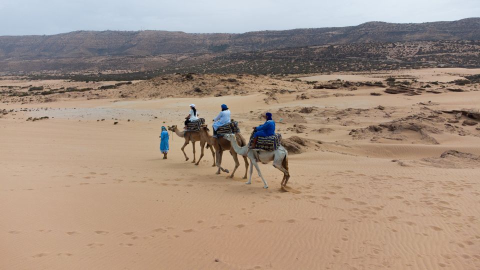 Agadir or Taghazout : Camel Ride in Desert Sand Dunes - Transportation and Logistics Details