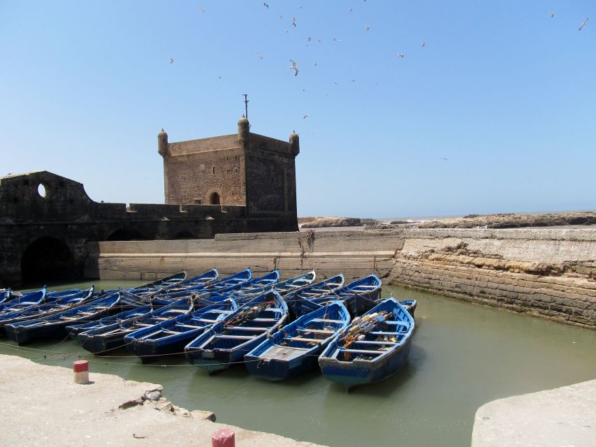 Agadir or Taghazout Essaouira Old City Day Trip With Guide - Additional Information