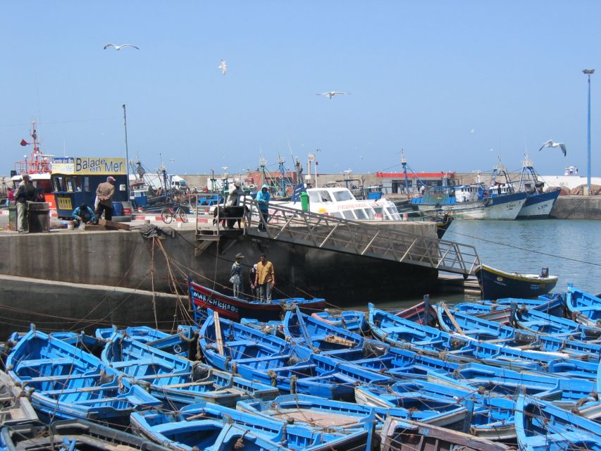 Agadir or Taghazout Essaouira Old City Day Trip With Guide - Customer Reviews