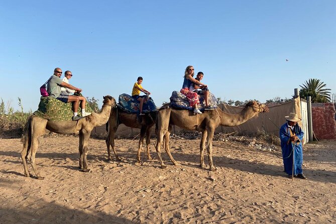 Agadir Sunset Camel Ride With Moroccan Barbecue & Hotel Transfers - Viator Booking and Information