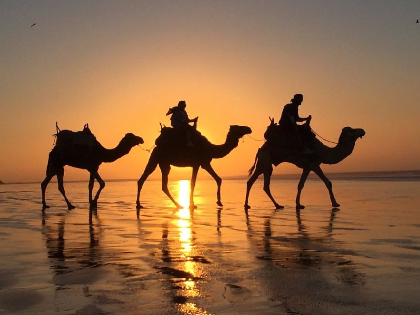 Agadir: Sunset Camel Riding Experience And Relaxing Massage - Location Details