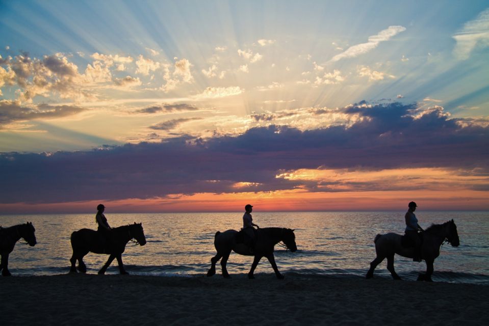 Agadir: Sunset Horse Riding Experience And Relaxing Massage - Activity Ratings