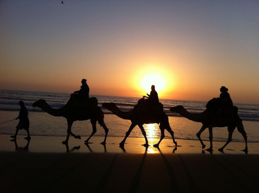 Agadir/Taghazout: Camel Ride on the Beach - Customer Reviews