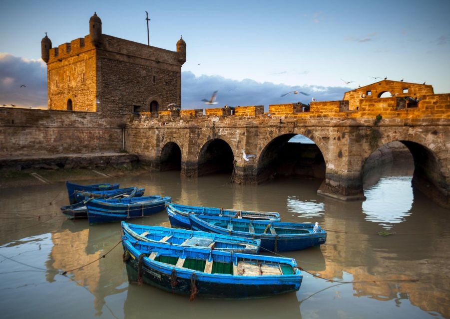 Agadir to Essaouira Trip Visit the Ancient & Historical City - Visiting the Colorful Port