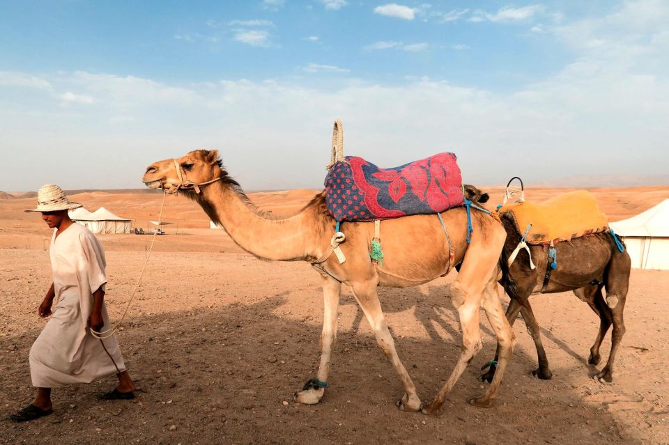 Agafay Desert Camel Ride Sunset Tour With Dinner Show - Destination Description