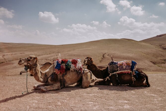 Agafay Desert Family Package: Quad Bike & Camel Ride, Dinner Show - Additional Information