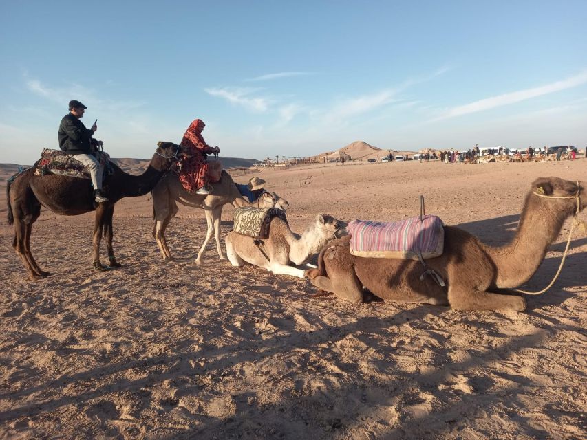 Agafay Desert: Magical Dinner With Show and Camel Ride - Logistics Information