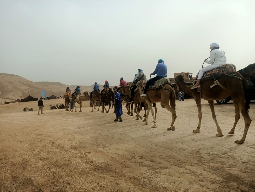 Agafay Desert Sunset Camel Ride Experience With Dinner - Customer Reviews