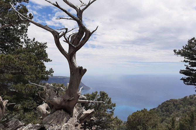 AGIA ROUMELI-PAPOURA Peak, Hike Adventure - Weather Considerations