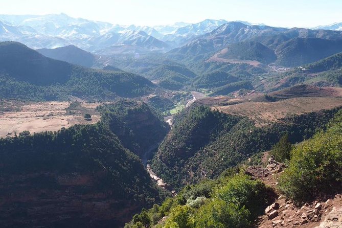 Ait Ben Haddou Guided Day Tour From Marrakech - Last Words